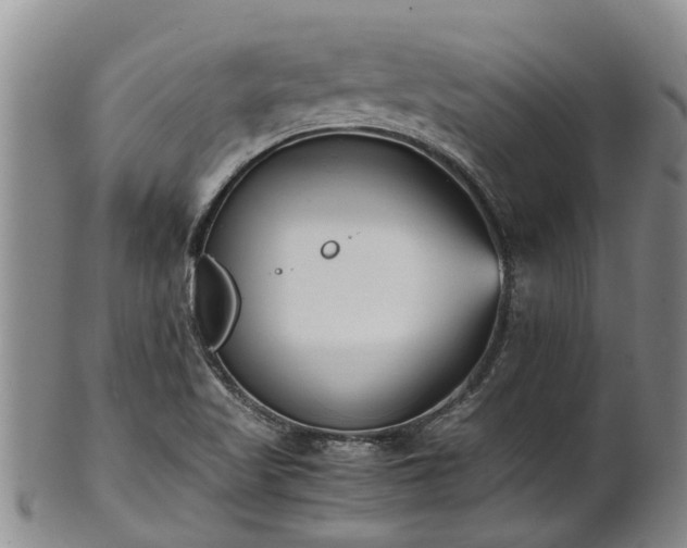 X0000102371509200808081141