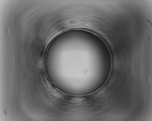 X0000102371513200808081141