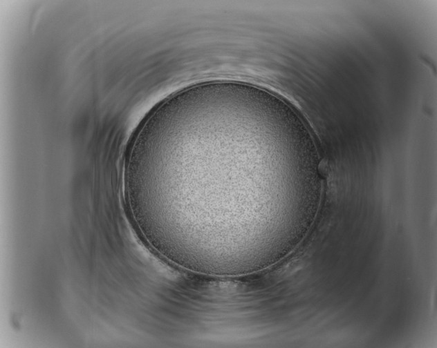 X0000102371515200808081141
