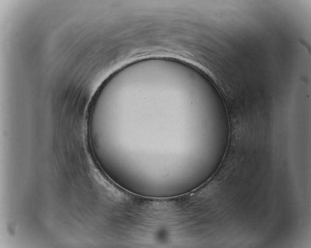 X0000102371518200808081141