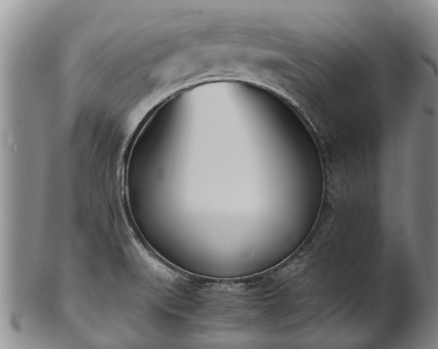 X0000102371519200808081141