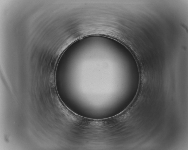 X0000102371521200808081141