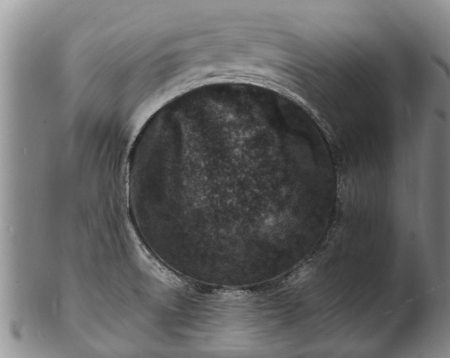 X0000102371522200808081141