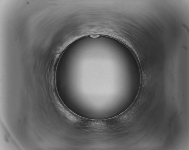 X0000102371525200808081141
