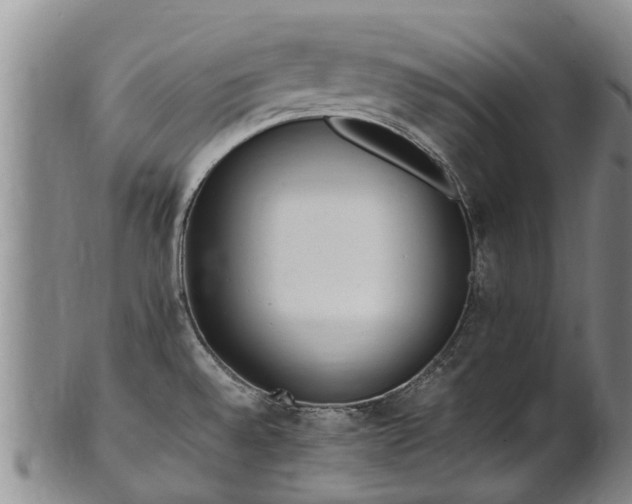 X0000102371528200808081141