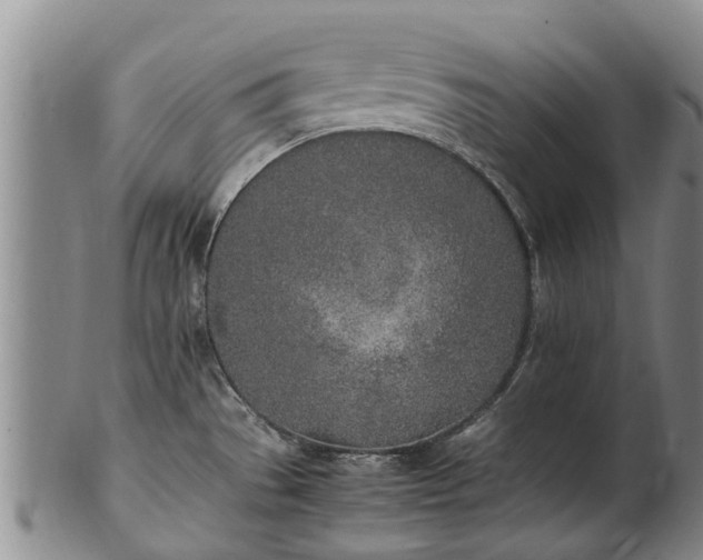 X0000102371529200808081141
