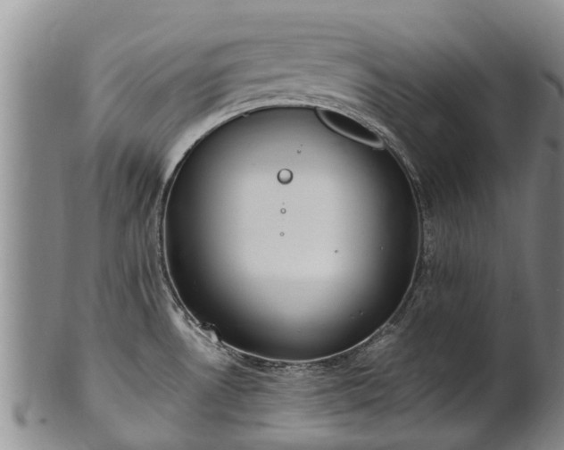 X0000102371530200808081141