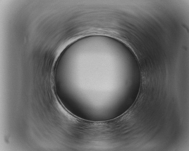 X0000102371531200808081141