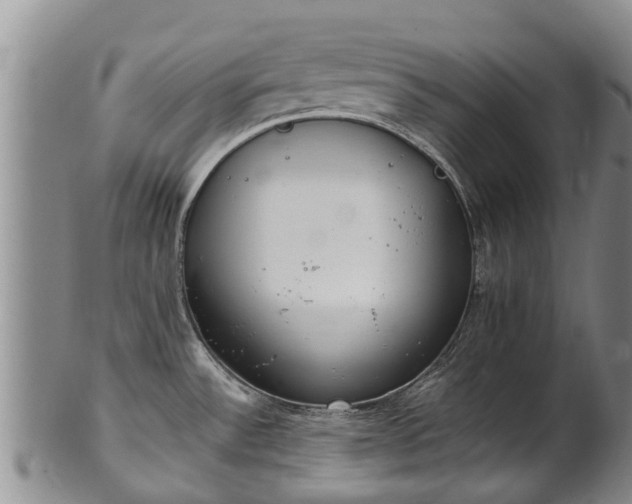 X0000102371532200808081141