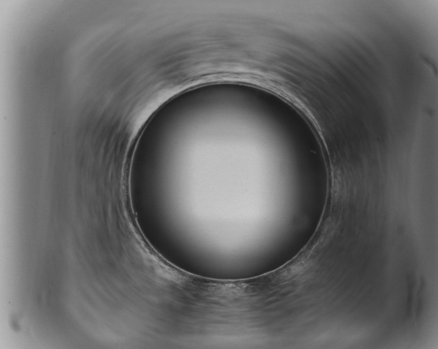 X0000102371533200808081141