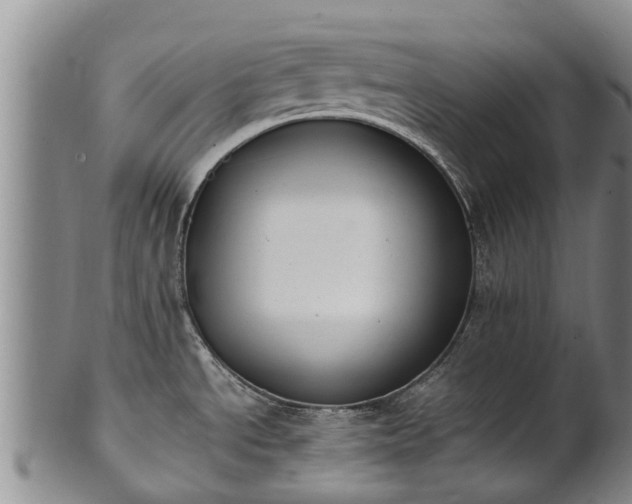 X0000102371534200808081141