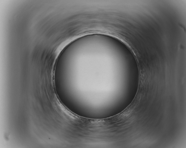 X0000102371535200808081141