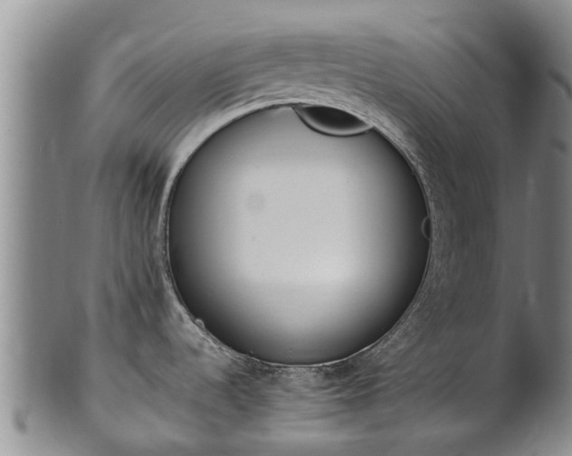 X0000102371536200808081141