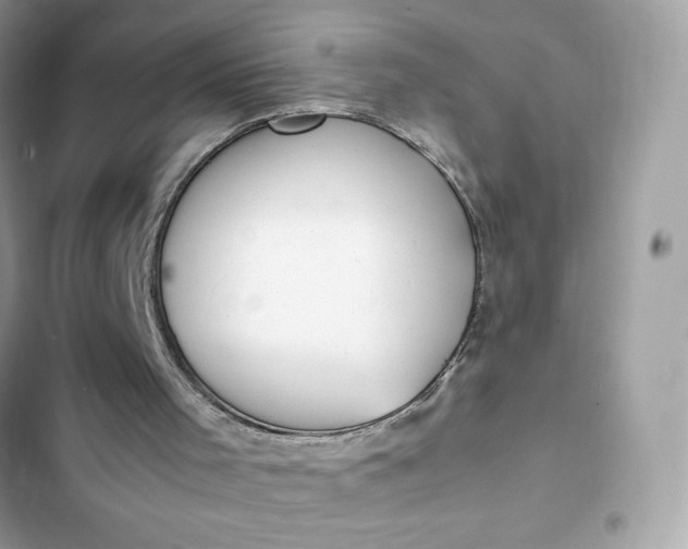 X0000102370001200808151845