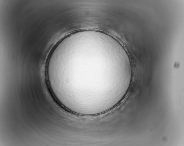 X0000102370002200808151845