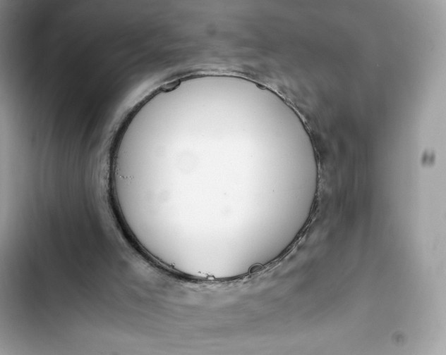 X0000102370005200808151845