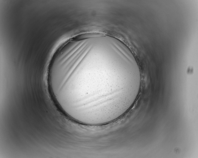 X0000102370006200808151845