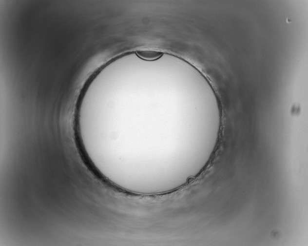 X0000102370007200808151845