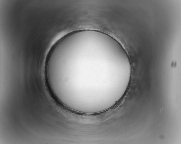 X0000102370008200808151845