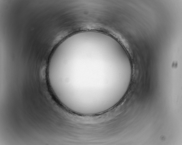 X0000102370010200808151845