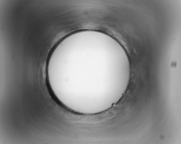 X0000102370011200808151845