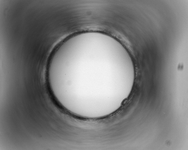 X0000102370012200808151845