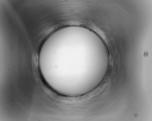 X0000102370013200808151845