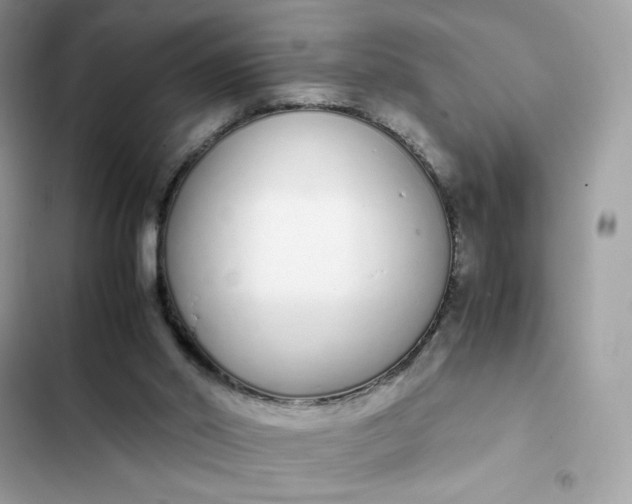 X0000102370014200808151845