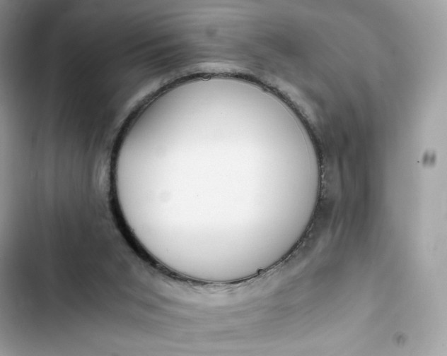 X0000102370015200808151845