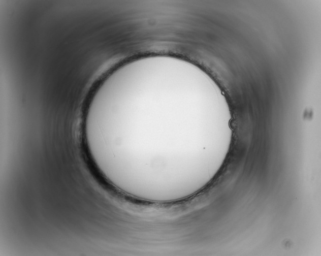 X0000102370016200808151845