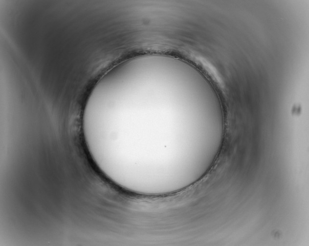 X0000102370017200808151845