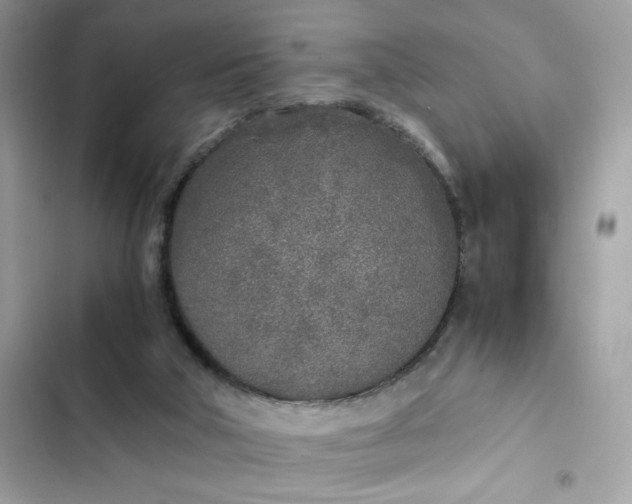 X0000102370018200808151845