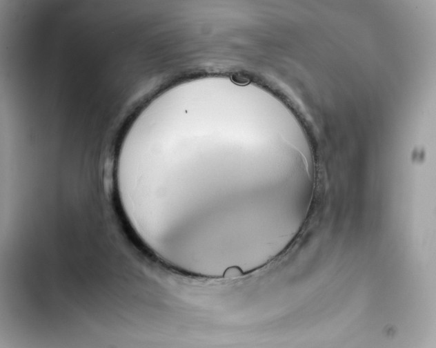 X0000102370019200808151845