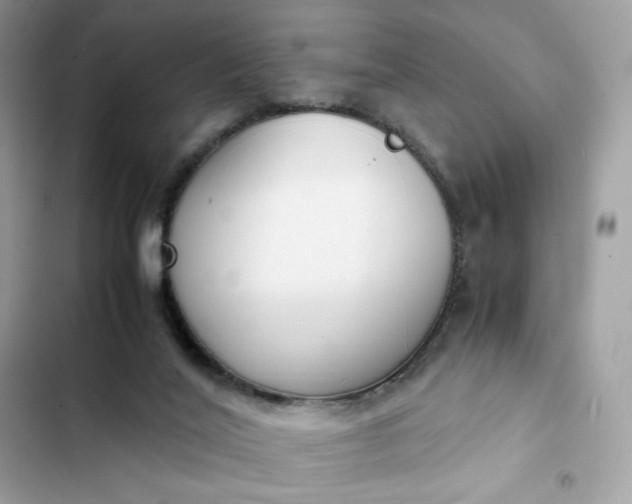 X0000102370020200808151845