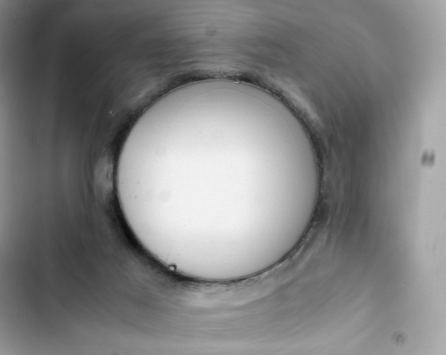 X0000102370021200808151845