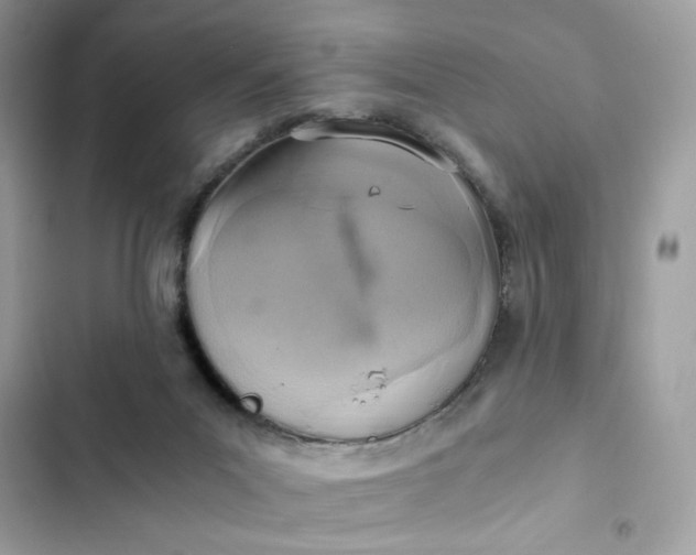 X0000102370023200808151845