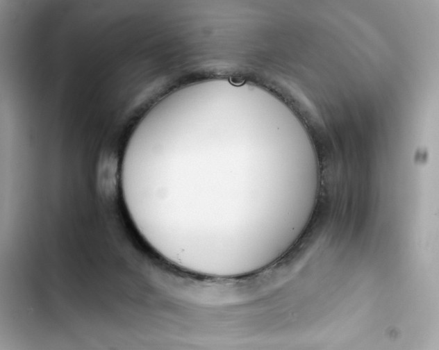 X0000102370024200808151845