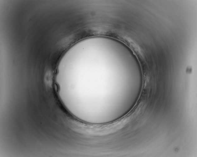 X0000102370026200808151845