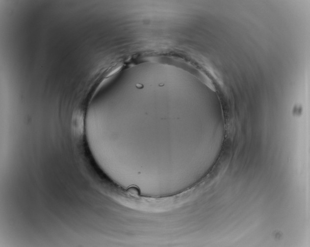 X0000102370027200808151845