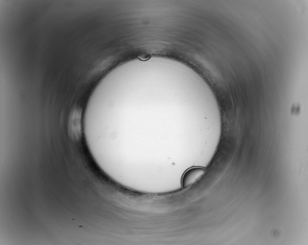 X0000102370028200808151845