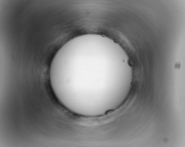 X0000102370029200808151845