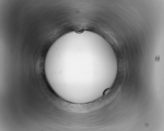 X0000102370030200808151845