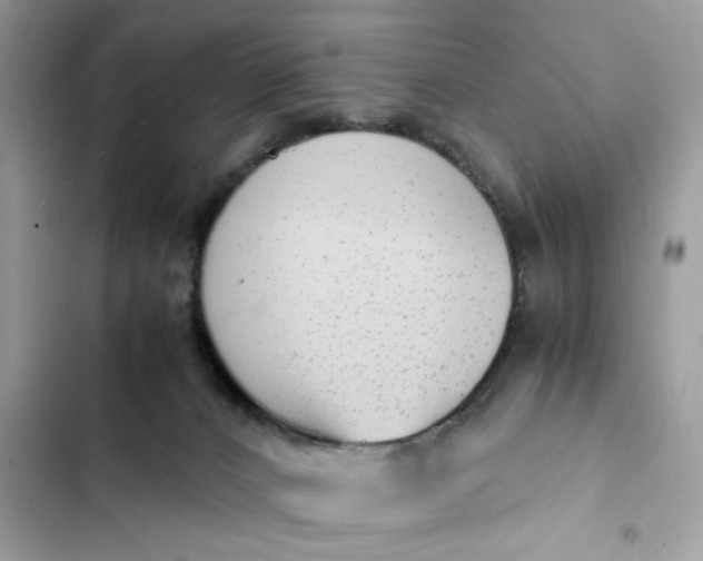 X0000102370032200808151845