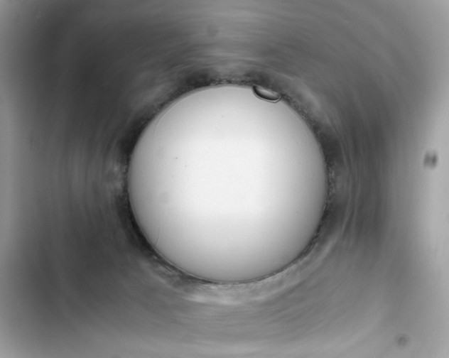 X0000102370033200808151845