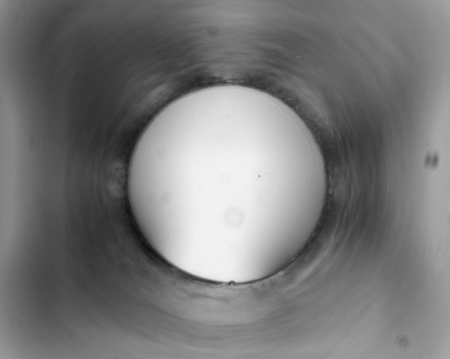 X0000102370036200808151845