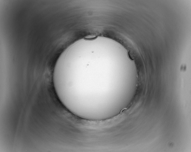 X0000102370037200808151845