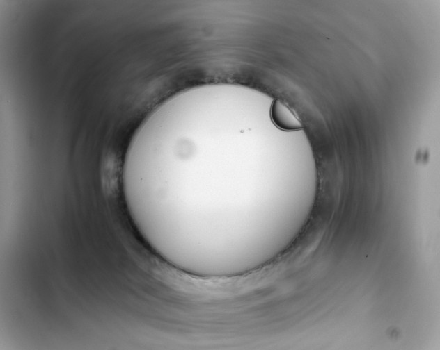 X0000102370038200808151845