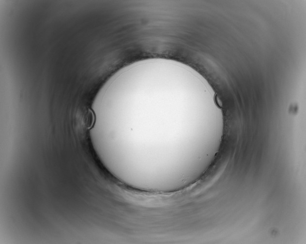 X0000102370040200808151845