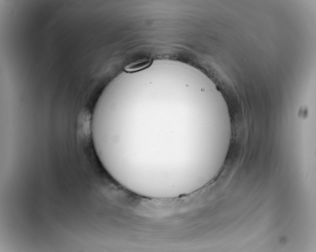 X0000102370041200808151845