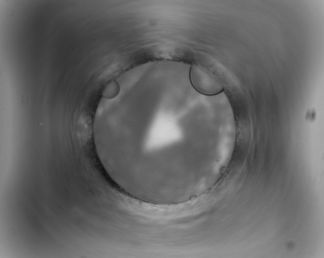 X0000102370043200808151845